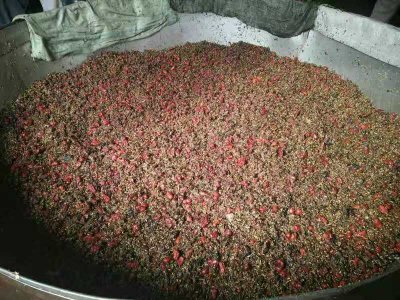 固源春養(yǎng)生酒制作過程