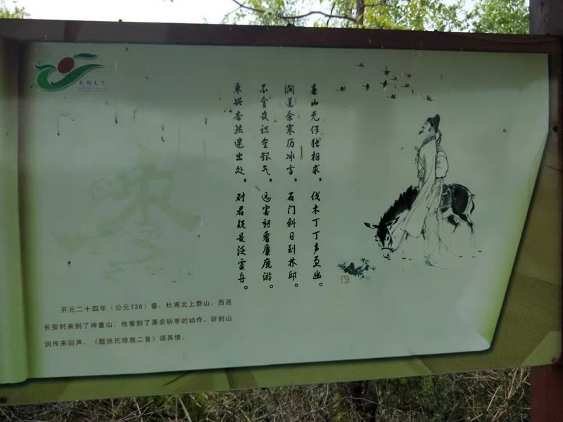 寧陽(yáng)縣“大棗之鄉(xiāng)”(圖1)