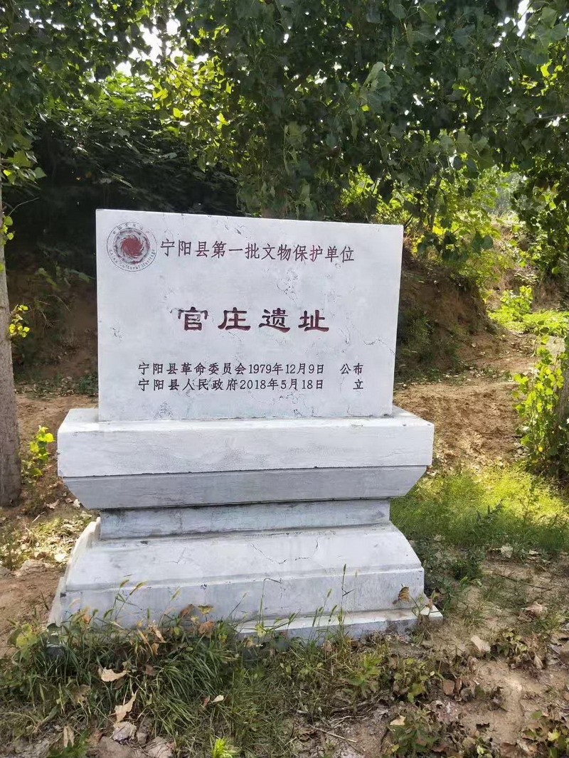 寧陽(yáng)縣“大棗之鄉(xiāng)”(圖3)