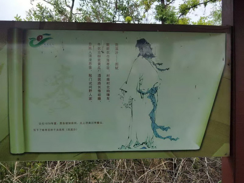 寧陽(yáng)縣“大棗之鄉(xiāng)”(圖2)